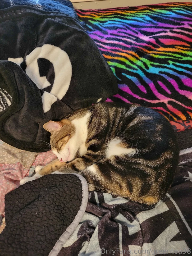 They are very relaxed uwu 