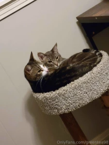 They are very relaxed uwu part 2