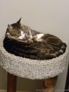 They are very relaxed uwu part 1