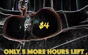 Only 4 hours left 60 off 4