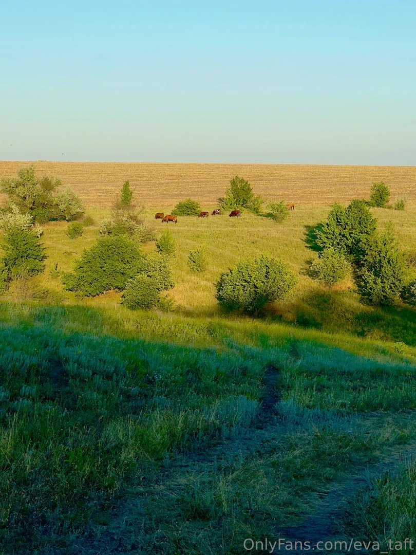 Beautiful nature part 4 