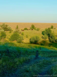 Beautiful nature part 4