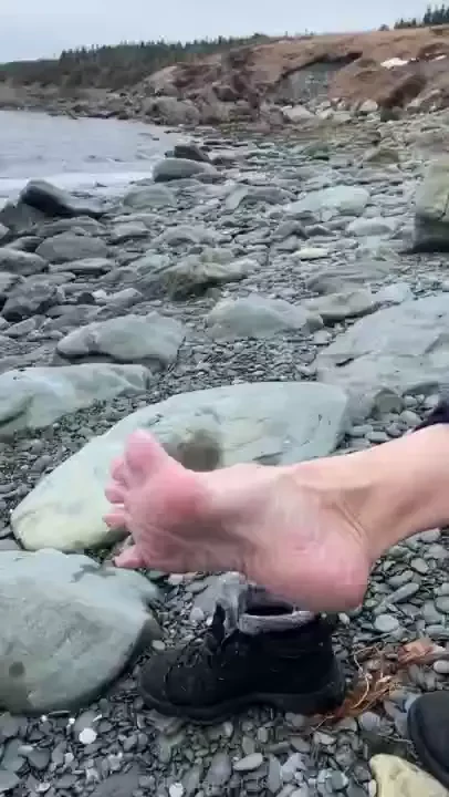 I went for a hike through the forest but the trails were still quite part 1 