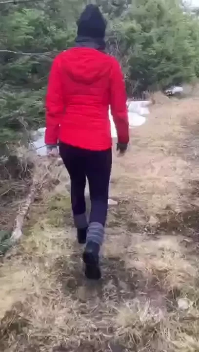 I went for a hike through the forest but the trails were still quite 