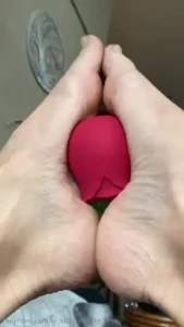 Some of you might be wondering what that rose is in my last set of