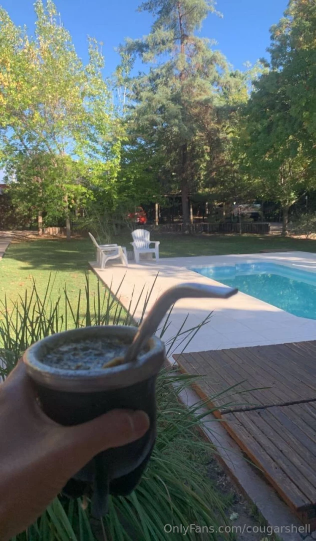 Have you ever tried argentina s mate it is the best drink in the world 