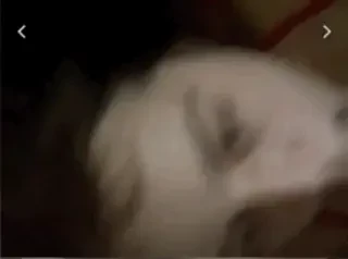 You want me to devour your cock like this 