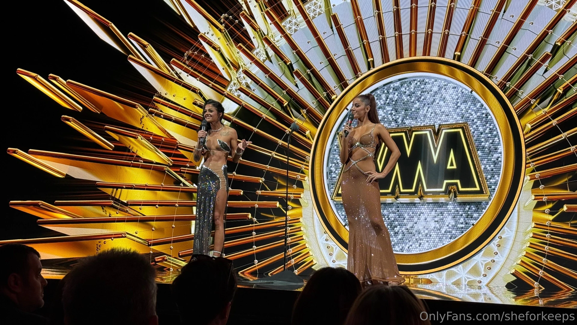 Vanna and me on stage last night at the xma xbiz awards in hollywood 