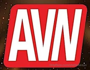 I had a great time in vegas at the avn week convention and show i even