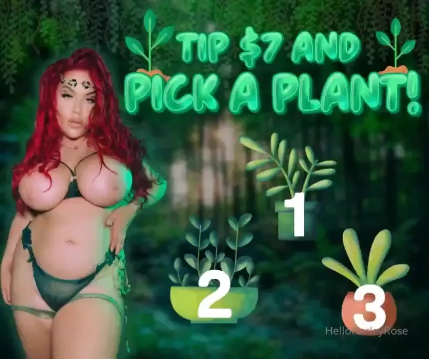 Pick a plant 7 - 1 plant 12 - 2 plants 18 - 3 plants 