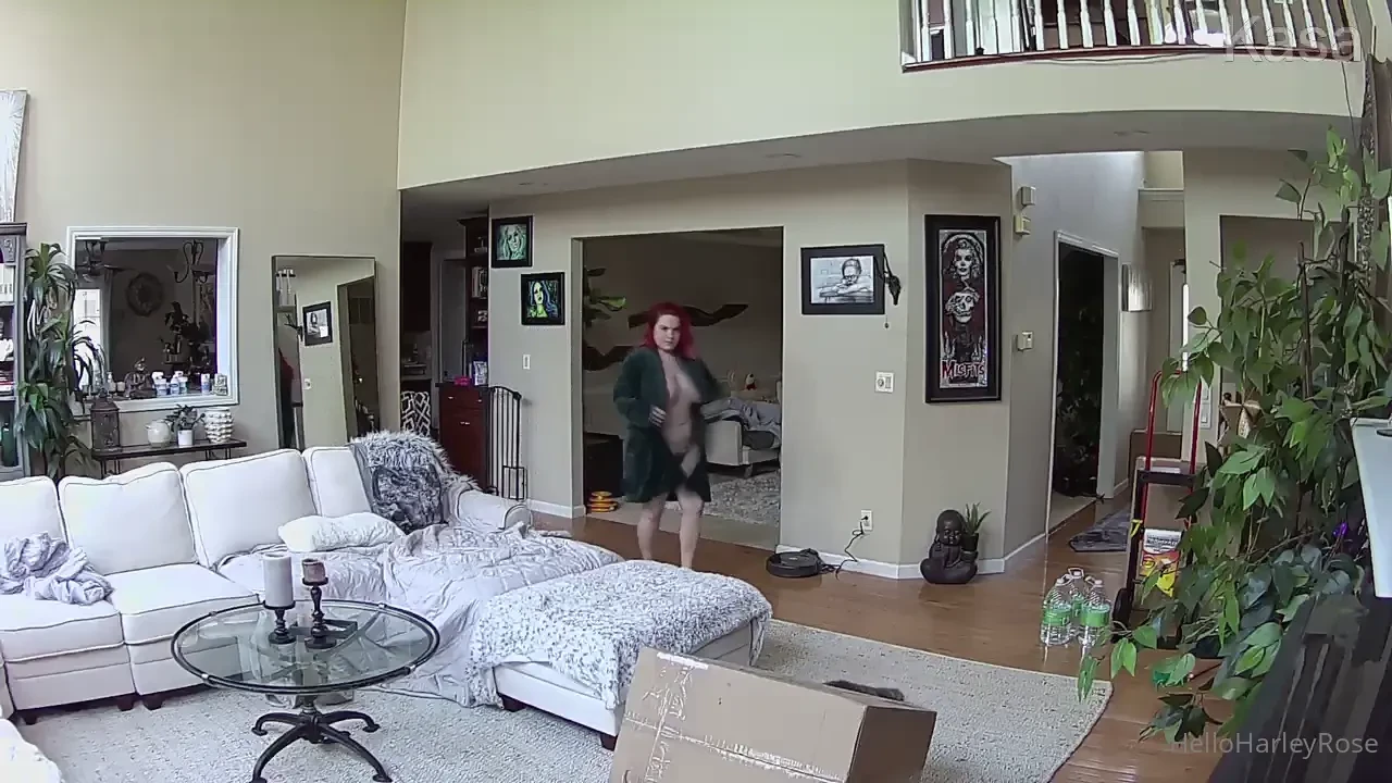 Sneaky flashes to my security camera 