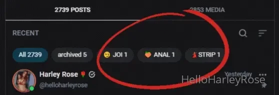 You can now view videos using these tabs at the top of my profile 