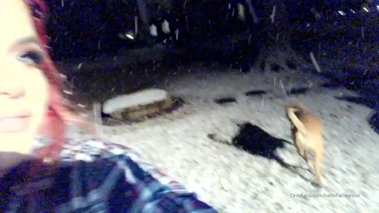 When it snows show your boobies 