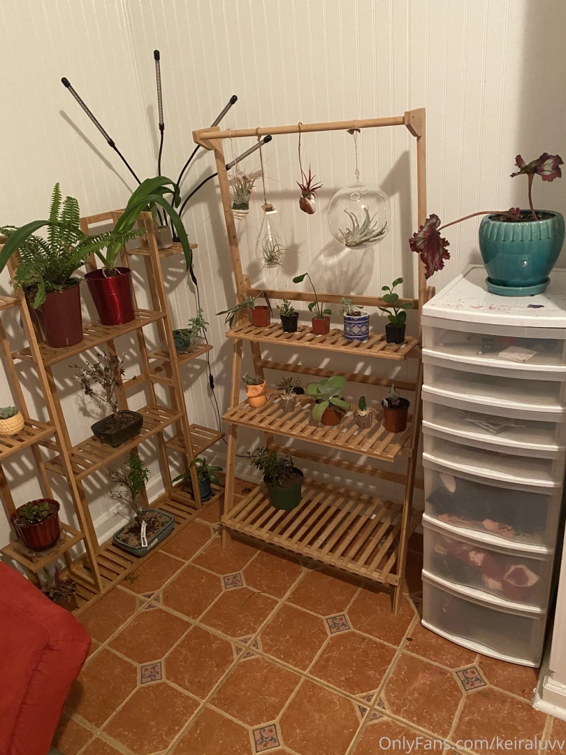 ashleyphoenixxx - Rearranged the sunroom amp now i have a cute little plant corner 