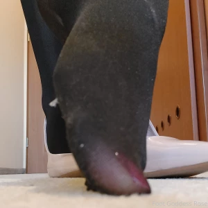 More photos from tonight s photo session part 12