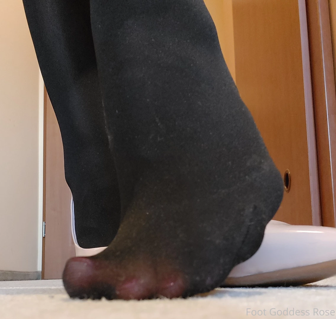 Goddess-rose part 104 