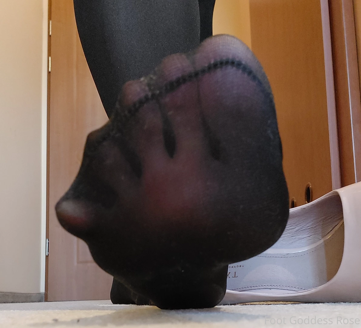 More photos from tonight s photo session part 1 