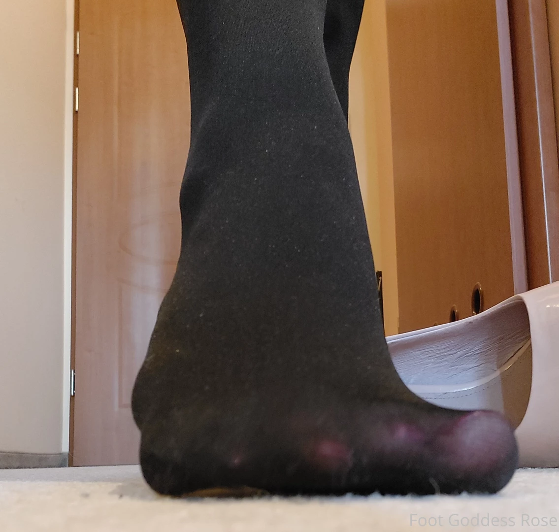 More photos from tonight s photo session part 6 