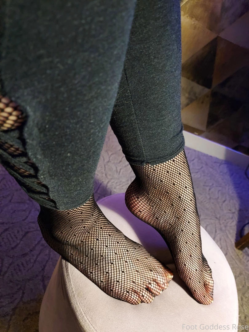 Who doesn t like fishnets part 5 