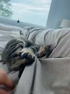 Missin this pretty kitty curious to see me play with mine i ve got a part 2