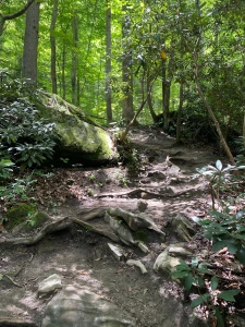 Spent the weekend at a national park had a great time lol hiked up a part 1