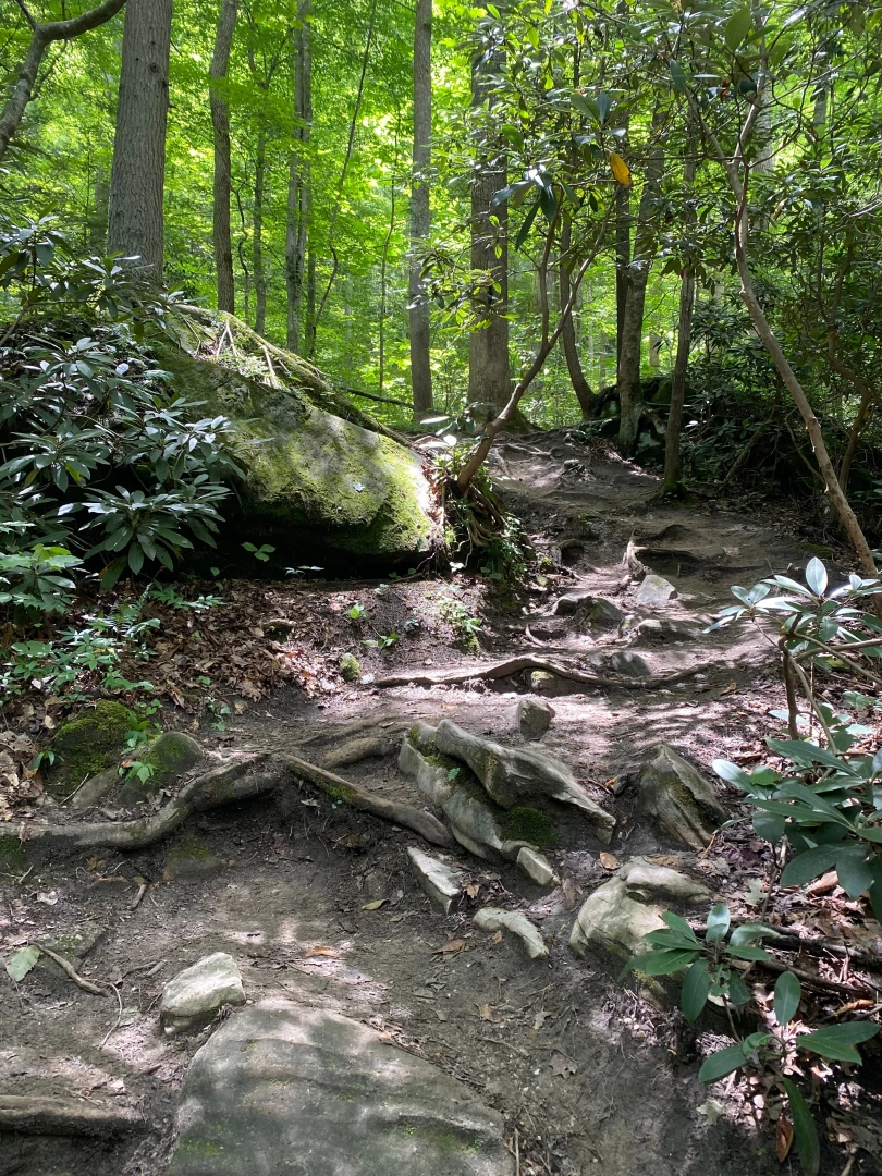 Spent the weekend at a national park had a great time lol hiked up a 