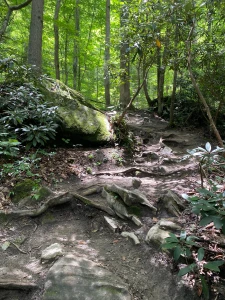 Spent the weekend at a national park had a great time lol hiked up a