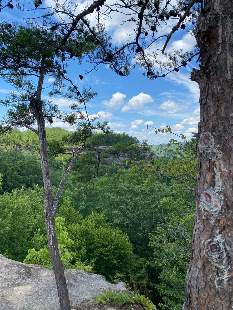 Spent the weekend at a national park had a great time lol hiked up a part 3 