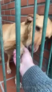 I love how happy she is when i get home