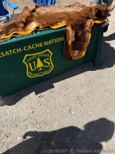 Yay cum hike donut falls with me v i p hike oh yeah i got a peach