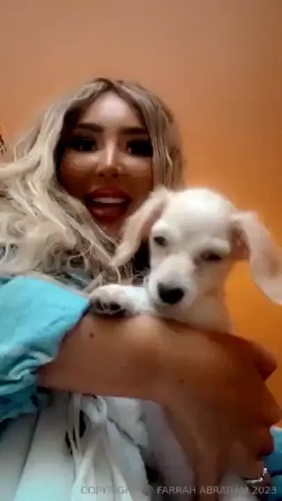 This puppy taking over my life 