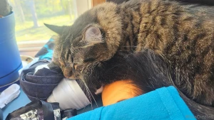 Planning some fun halloween shenanigans today of course my lil goblin part 1