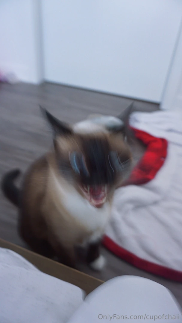 It s time to show you how wild my pussy can get lmao 