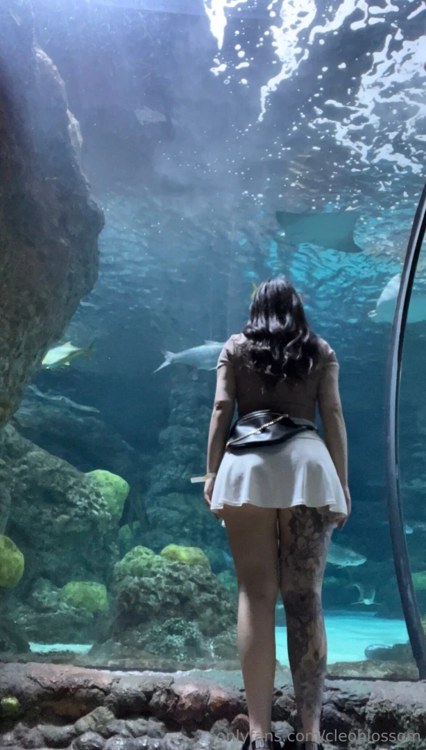 Wanna hold hands at the aquarium amp point at fishies 