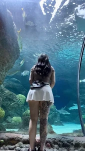 Wanna hold hands at the aquarium amp point at fishies part 1