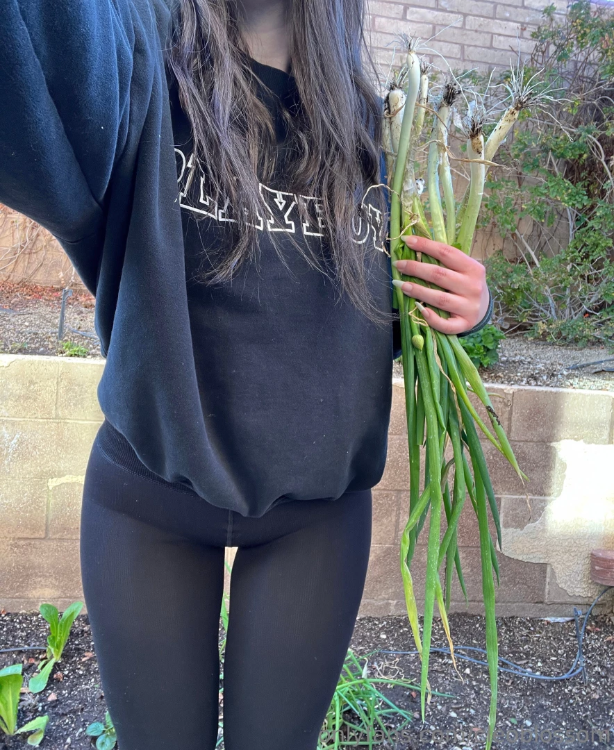 My mommy s garden is so impressive she gutted her garden for winter part 2 