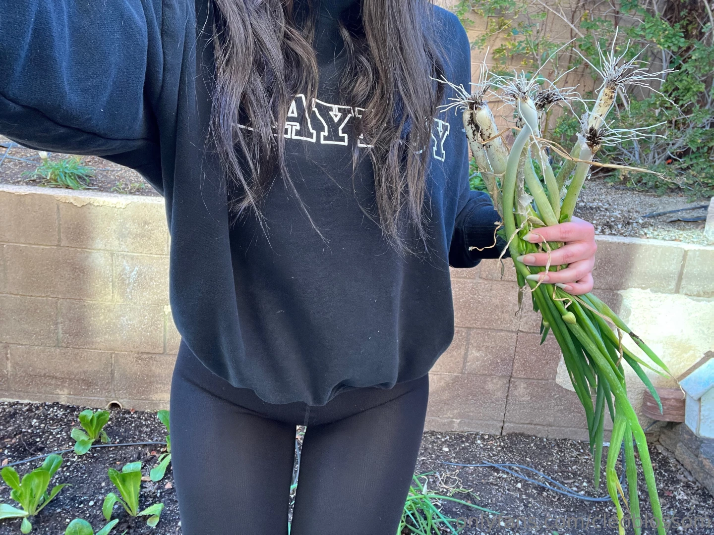 My mommy s garden is so impressive she gutted her garden for winter 