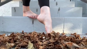 Neighbors getting a free show