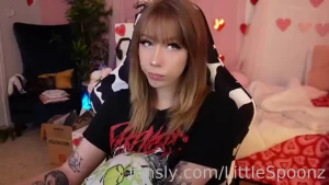Finally bit the bullet and got a dslr camera to use as a webcam have