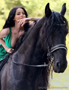 In my free time i find peace where the wild things roam horseback part 4