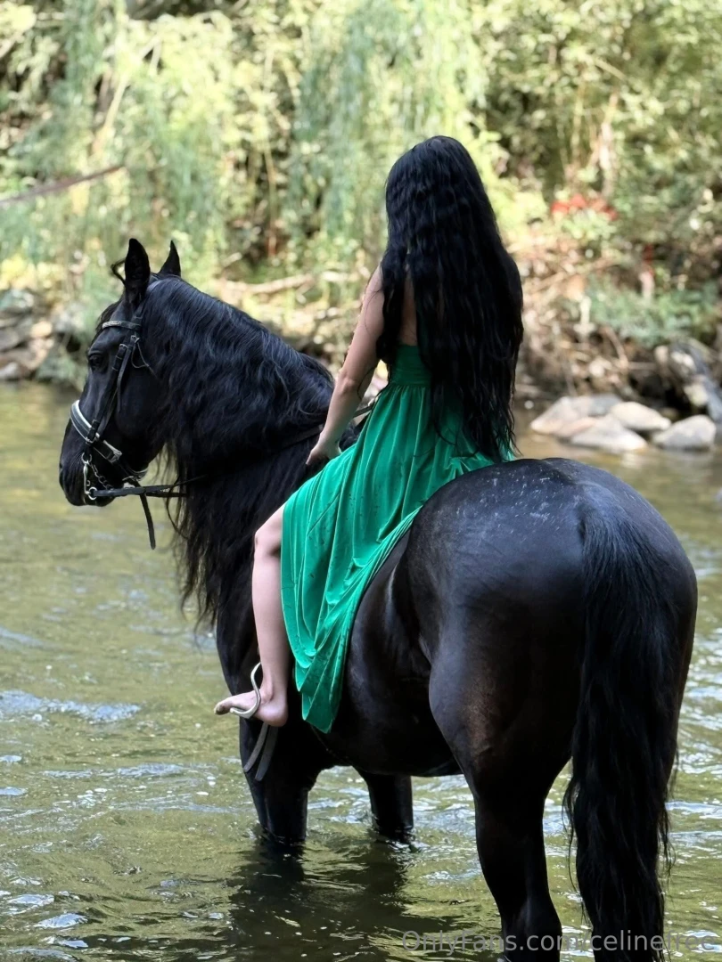 In my free time i find peace where the wild things roam horseback part 7 