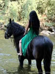 In my free time i find peace where the wild things roam horseback part 7
