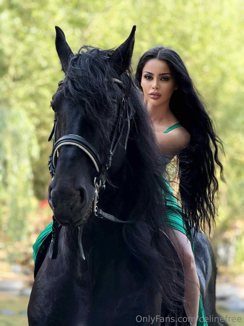In my free time i find peace where the wild things roam horseback part 2 