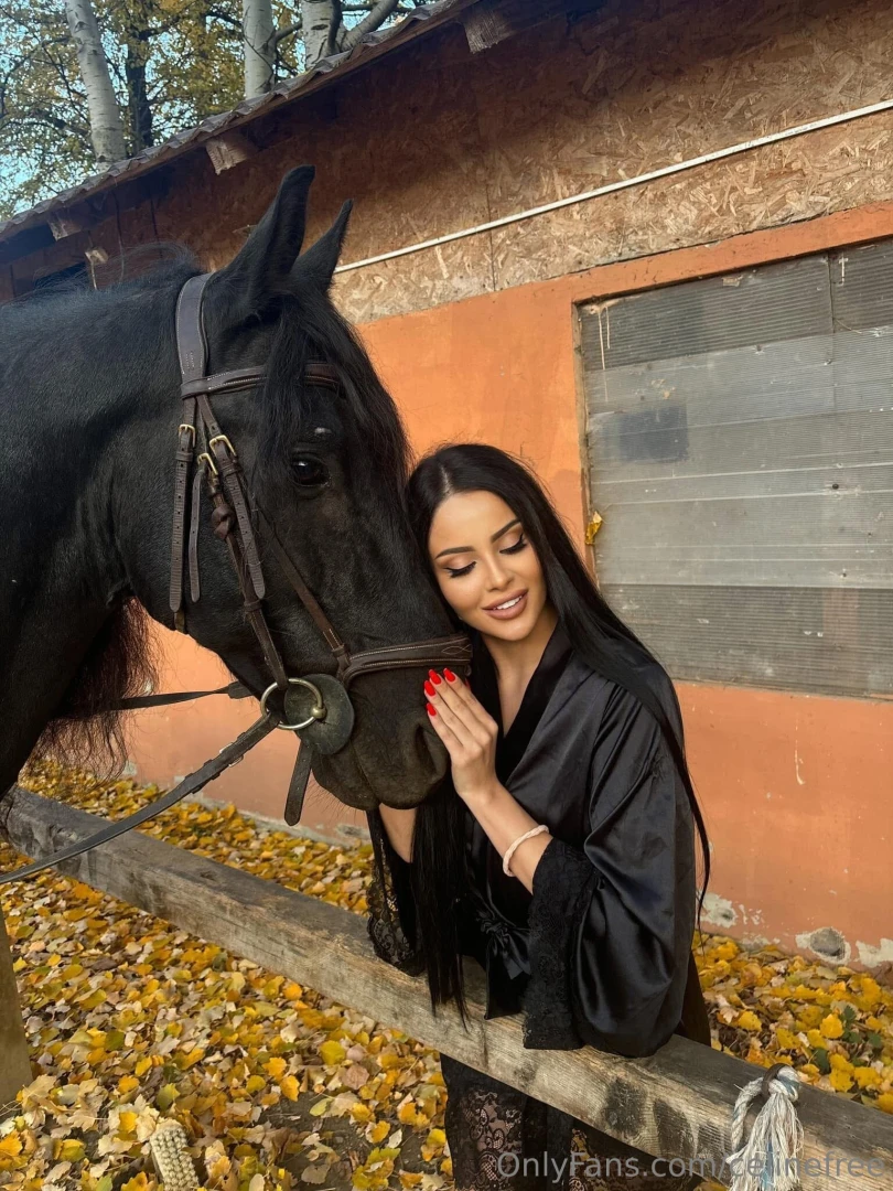 This week i just needed to pause i spent time with animals meditated part 3 