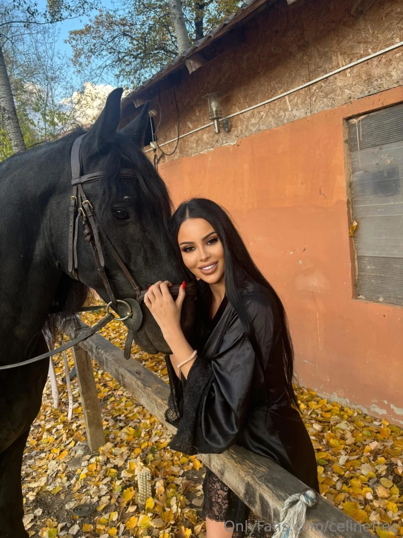 This week i just needed to pause i spent time with animals meditated part 1 
