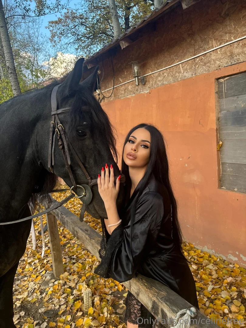 This week i just needed to pause i spent time with animals meditated part 5 