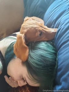 For those of you that haven t formally met the amazing merlin here he