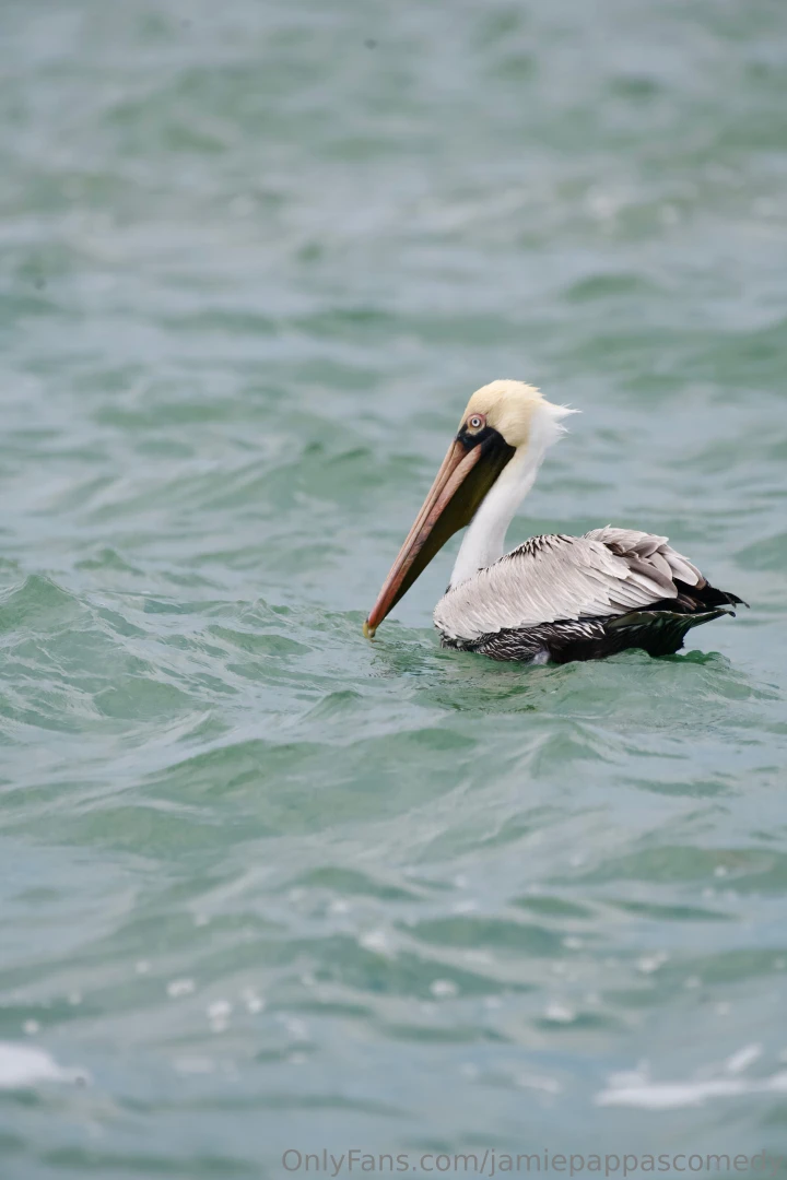 Life recently as always posting way more frequently on gobirdsbabe part 5 