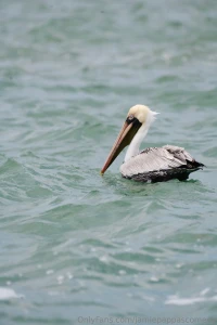 Life recently as always posting way more frequently on gobirdsbabe part 5