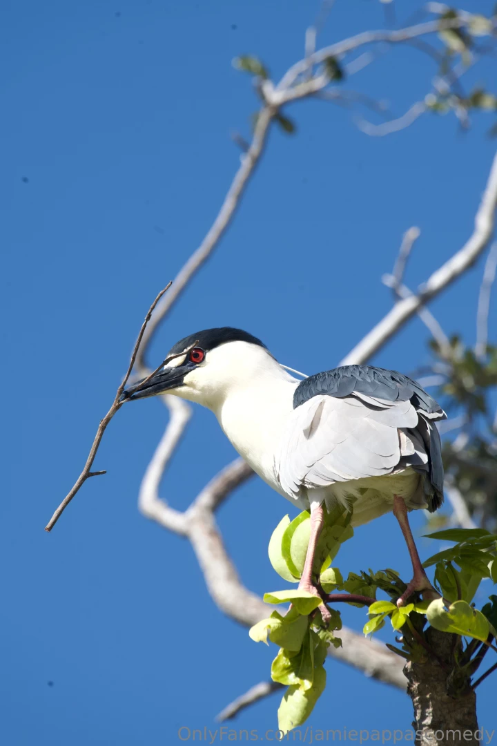 Life recently as always posting way more frequently on gobirdsbabe part 6 